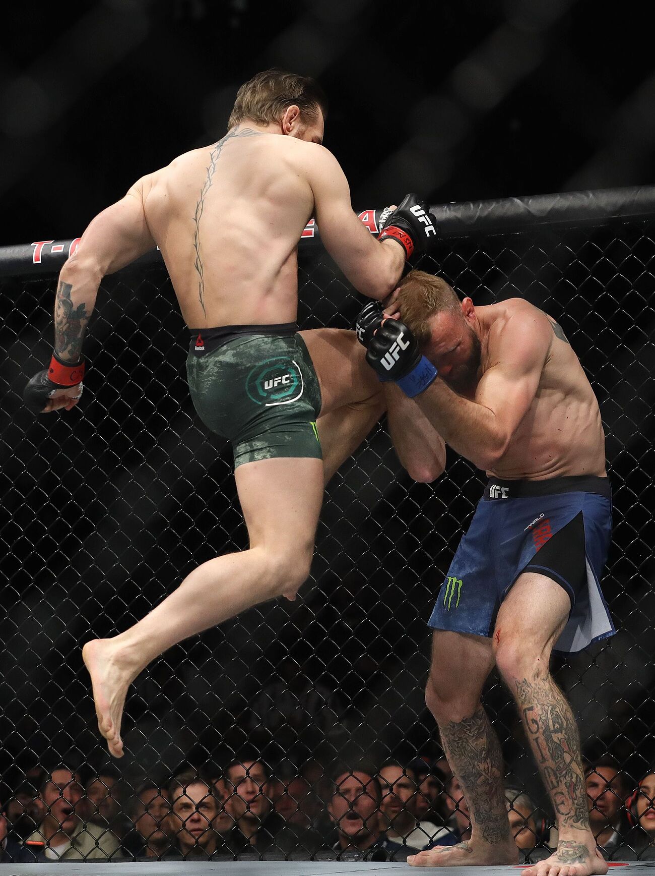 Conor McGregor campeão